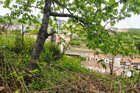 Landsbyhus i Lamego, Viseu, Lamego - € 67.500 | Ref: L06/2026 - foto 6